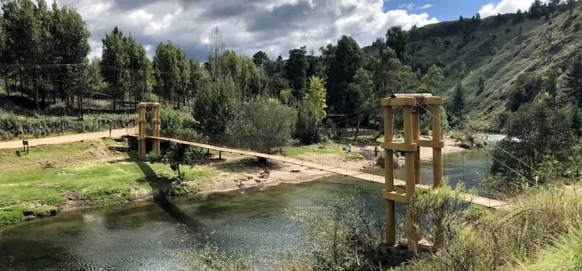 imagen_2025-01-03_114950277