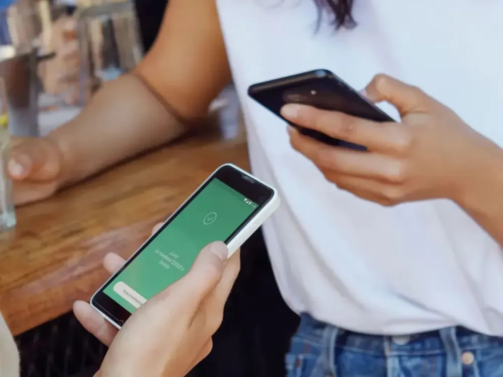 imagen_2024-12-12_105539418