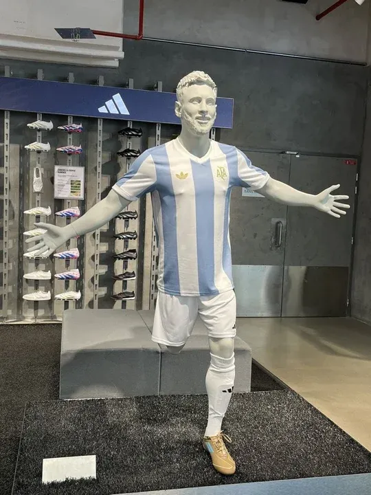 imagen_2024-11-07_115633053