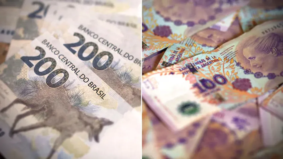 imagen_2024-12-24_123841539