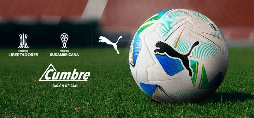 imagen_2024-12-20_111030414