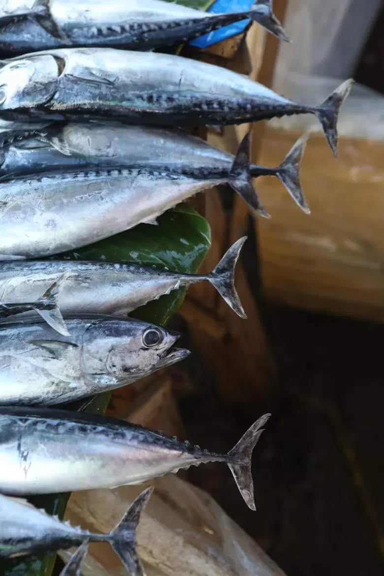 imagen_2025-01-03_120632590