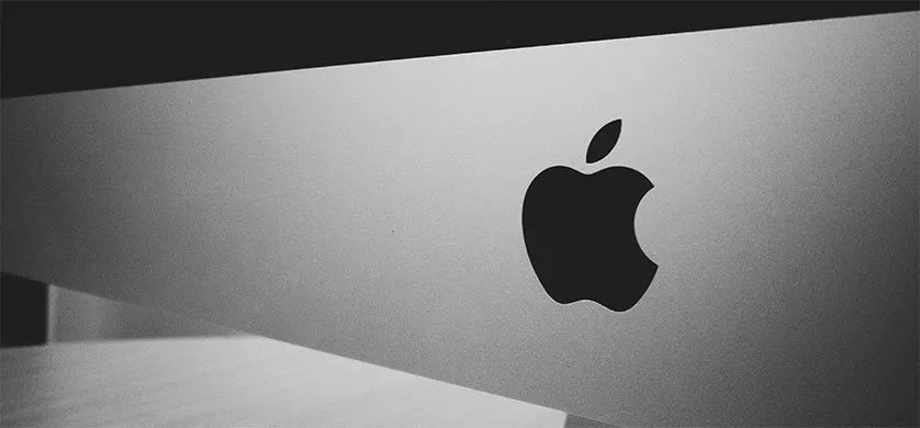 imagen_2025-01-27_110329069