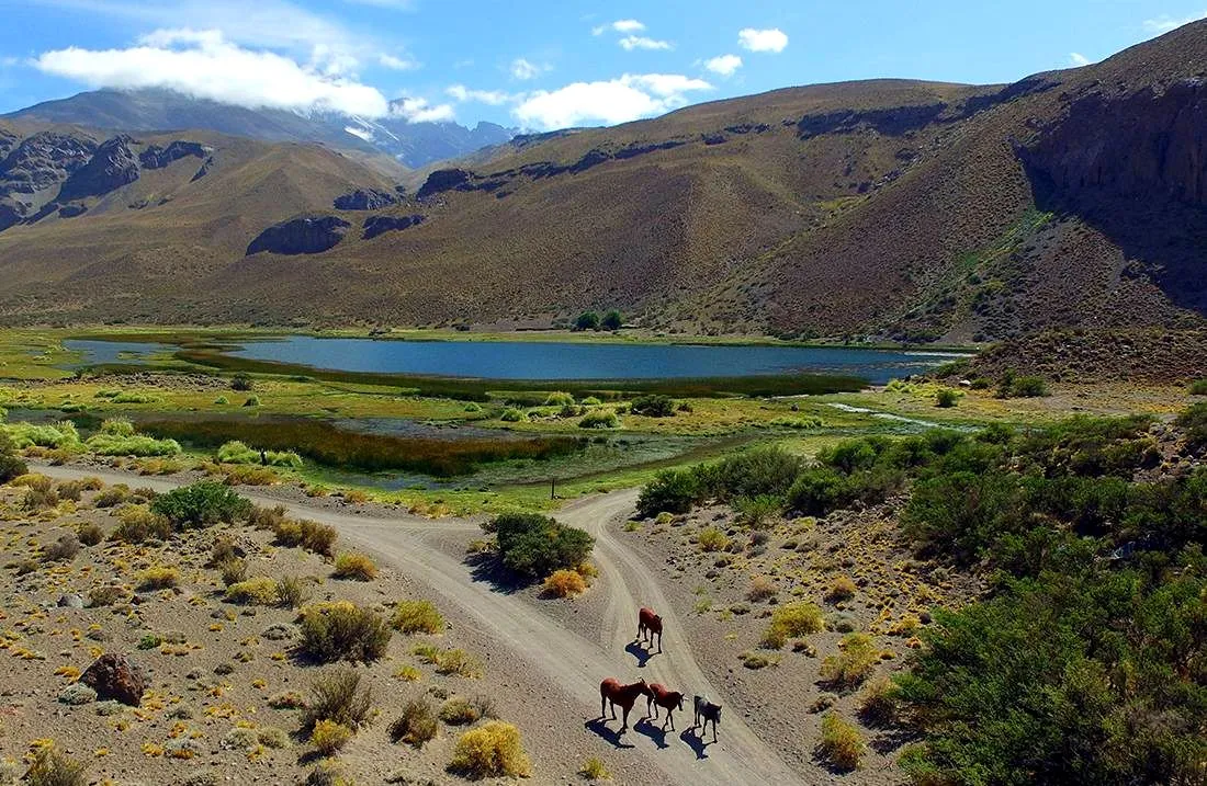 imagen_2025-01-03_115008794